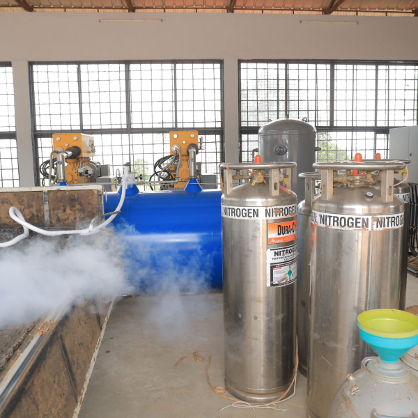 Effect of Supply-Chain Sourcing and Delivery of Liquid Nitrogen and Frozen Semen on the Quality of Public Animal Breeding Services in the Selected Cattle Corridor Districts of Uganda