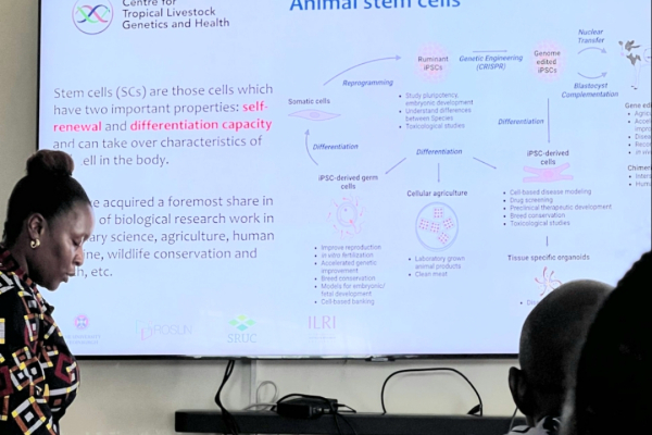 “NAGRC&DB and ILRI Collaborate to Enhance Livestock Genetic Conservation in Uganda”