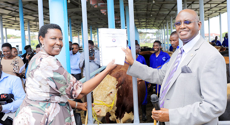 Minister launches NAGRC’s quality dairy bulls, calls public to buy them
