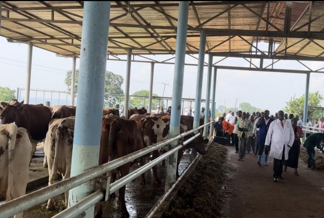 Member Countries of the East Africa Farmers Federation Visit NAGRC&DB Facilities